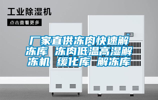欧美黄色电影在线播放 厂家直供冻肉快速解冻库 冻肉低温高湿解冻机 缓化库 解冻库