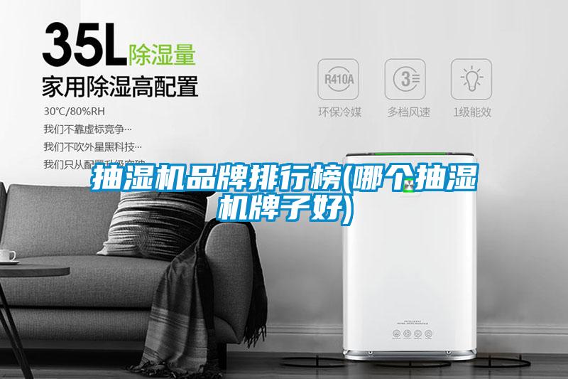欧美黄色电影在线播放 抽湿机品牌排行榜(哪个抽湿机牌子好)