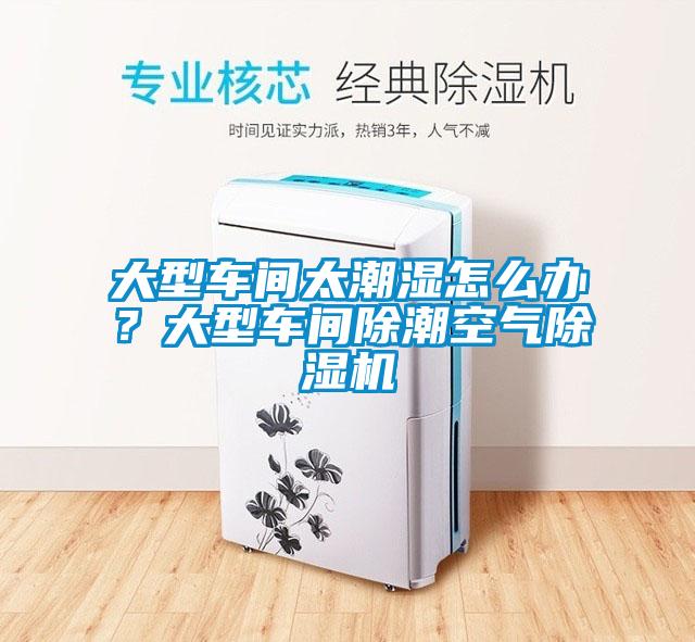 欧美成色手机在线观看 大型车间太潮湿怎么办？大型车间除潮空气除湿机