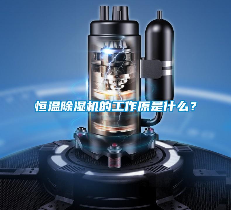 欧美成色手机在线观看 恒温除湿机的工作原是什么？