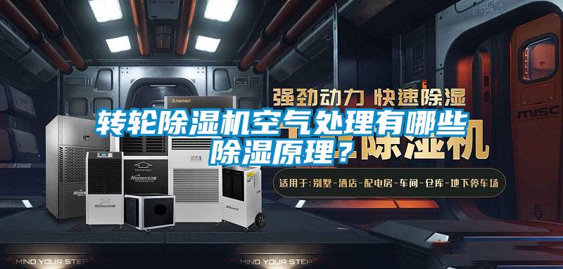 欧美黄色电影在线播放 转轮除湿机空气处理有哪些除湿原理？