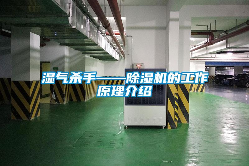 欧美成色手机在线观看 湿气杀手——除湿机的工作原理介绍