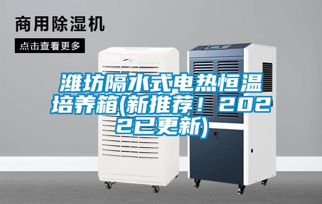 欧美黄色性爱视频网站 潍坊隔水式电热恒温培养箱(新推荐！2022已更新)