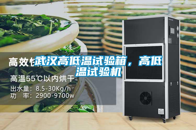 欧美黄色电影在线播放 武汉高低温试验箱，高低温试验机
