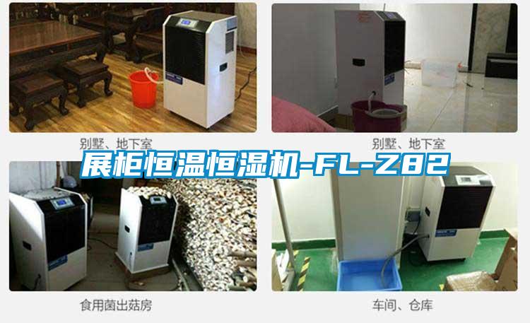 欧美黄色性爱视频网站 展柜恒温恒湿机-FL-Z82