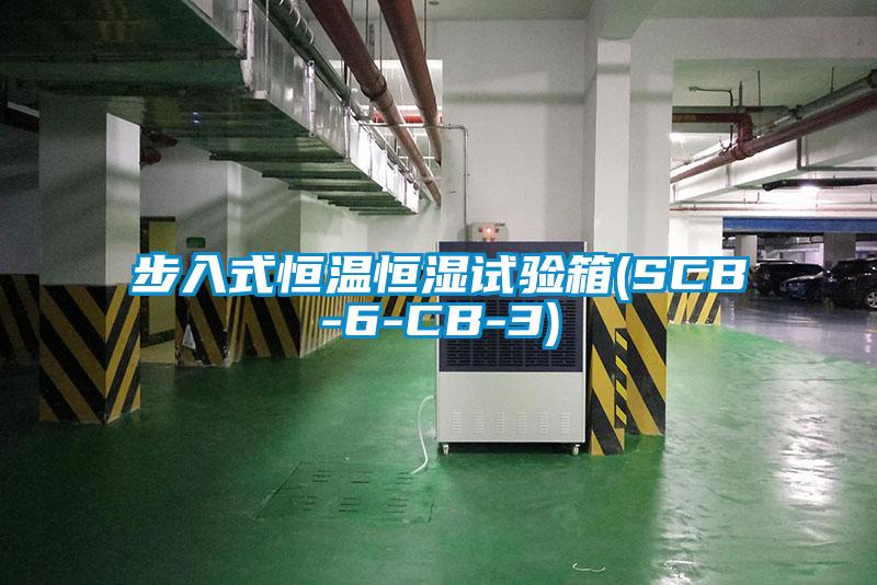 欧美黄色性爱视频网站 步入式恒温恒湿试验箱(SCB-6-CB-3)