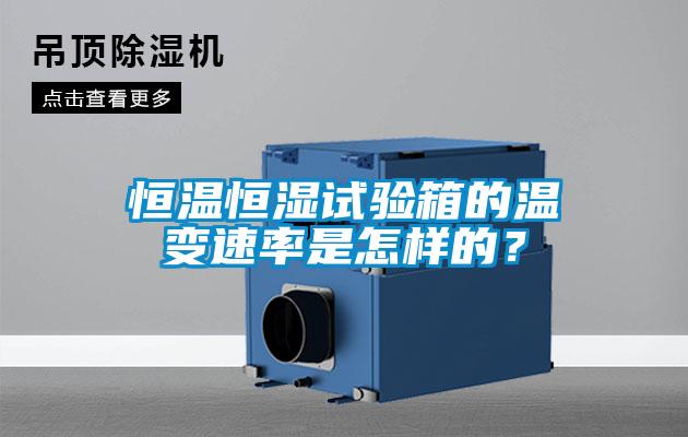 欧美黄色电影在线播放 恒温恒湿试验箱的温变速率是怎样的？