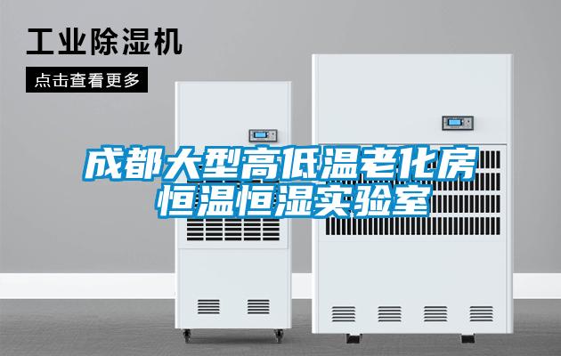 欧美成色手机在线观看 成都大型高低温老化房 恒温恒湿实验室