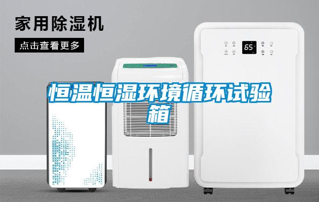 欧美黄色性爱视频网站 恒温恒湿环境循环试验箱