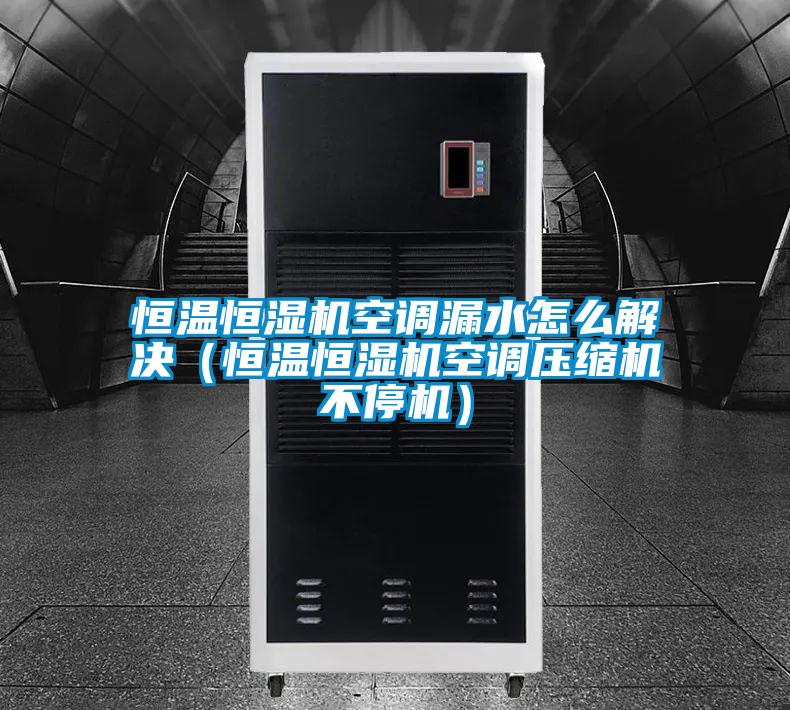 欧美黄色性爱视频网站 恒温恒湿机空调漏水怎么解决（恒温恒湿机空调压缩机不停机）