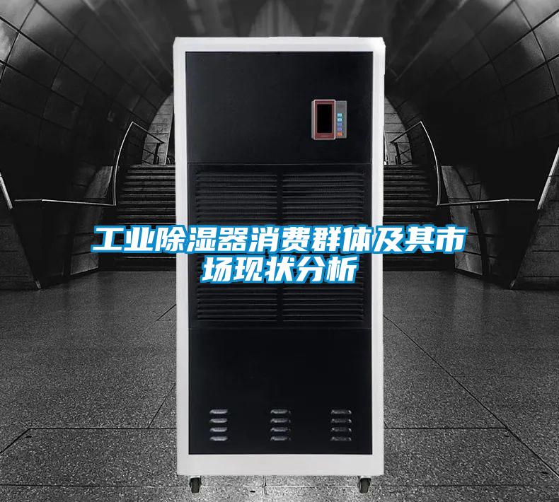欧美黄色电影在线播放 工业除湿器消费群体及其市场现状分析