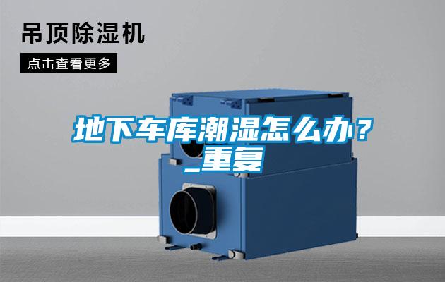 欧美黄色性爱视频网站 地下车库潮湿怎么办？_重复