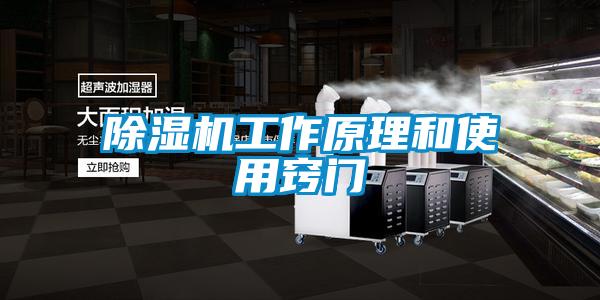 欧美黄色性爱视频网站 除湿机工作原理和使用窍门