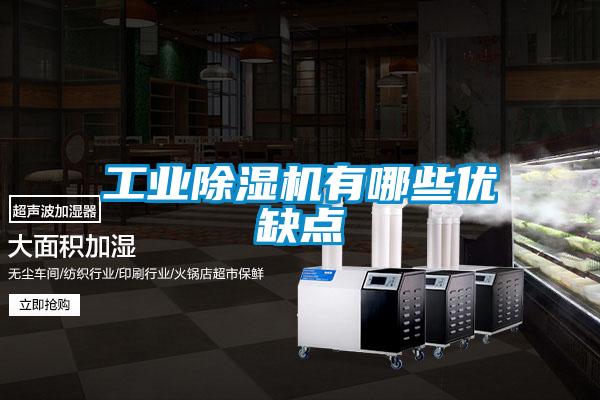 欧美成色手机在线观看 工业除湿机有哪些优缺点