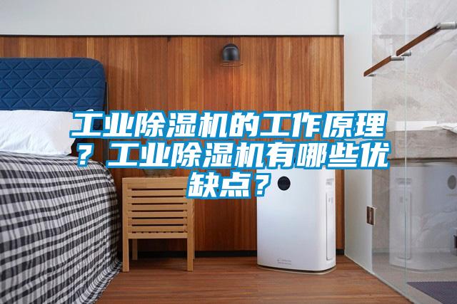 欧美黄色性爱视频网站 工业除湿机的工作原理？工业除湿机有哪些优缺点？