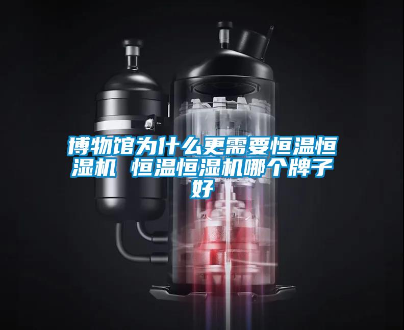 欧美黄色电影在线播放 博物馆为什么更需要恒温恒湿机 恒温恒湿机哪个牌子好