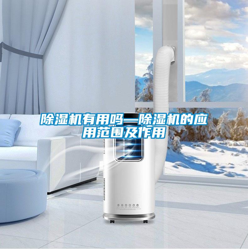 欧美黄色性爱视频网站 除湿机有用吗—除湿机的应用范围及作用