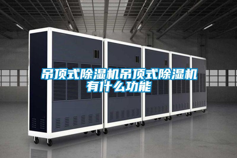 欧美黄色电影在线播放 吊顶式除湿机吊顶式除湿机有什么功能
