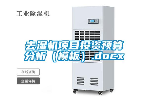 欧美黄色性爱视频网站 去湿机项目投资预算分析（模板）.docx