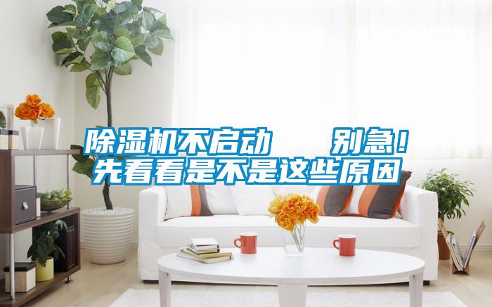 欧美成色手机在线观看 除湿机不启动   别急！先看看是不是这些原因
