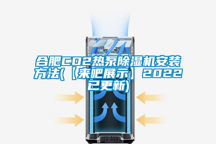 欧美黄色电影在线播放 合肥CO2热泵除湿机安装方法(【来吧展示】2022已更新)