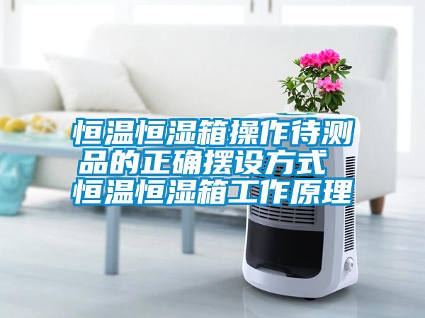 欧美黄色性爱视频网站 恒温恒湿箱操作待测品的正确摆设方式 恒温恒湿箱工作原理
