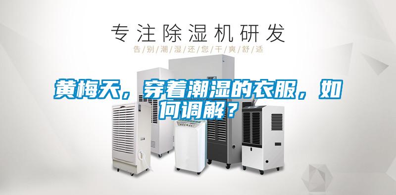 欧美黄色性爱视频网站 黄梅天，穿着潮湿的衣服，如何调解？