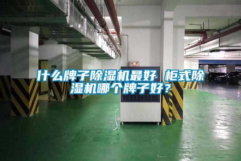 欧美黄色电影在线播放 什么牌子除湿机最好 柜式除湿机哪个牌子好？
