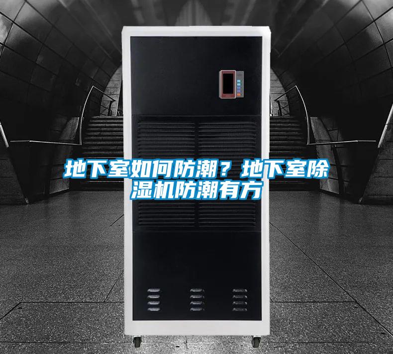 欧美黄色电影在线播放 地下室如何防潮？地下室除湿机防潮有方