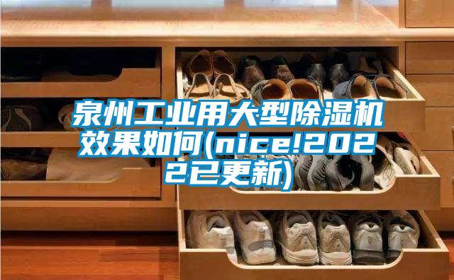 欧美成色手机在线观看 泉州工业用大型除湿机效果如何(nice!2022已更新)