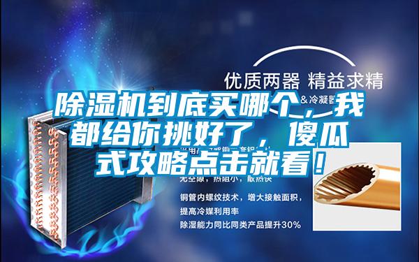 欧美成色手机在线观看 除湿机到底买哪个，我都给你挑好了，傻瓜式攻略点击就看！