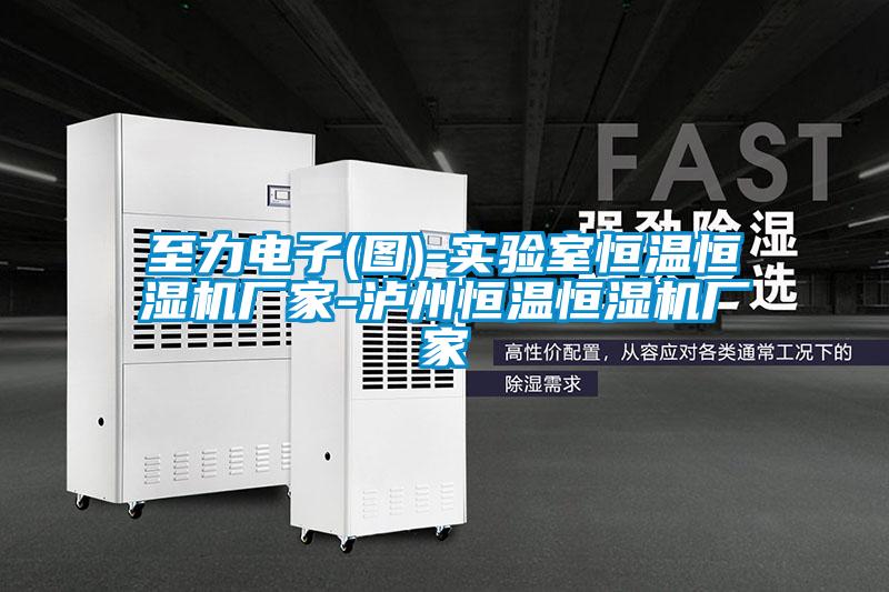 欧美黄色性爱视频网站 至力电子(图)-实验室恒温恒湿机厂家-泸州恒温恒湿机厂家