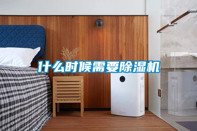 欧美黄色性爱视频网站 什么时候需要除湿机
