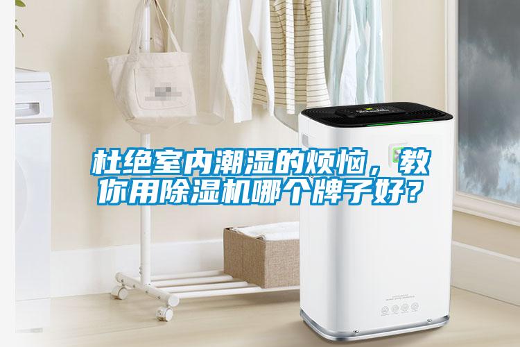 欧美黄色电影在线播放 杜绝室内潮湿的烦恼，教你用除湿机哪个牌子好？