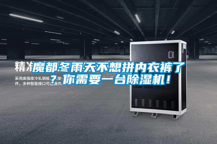 欧美成色手机在线观看 魔都冬雨天不想拼内衣裤了？你需要一台除湿机！