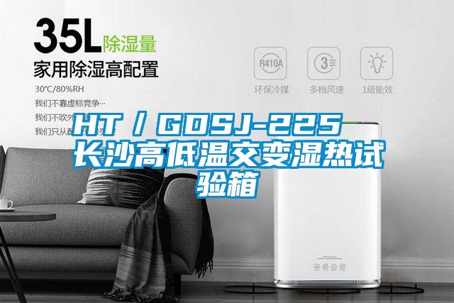 欧美黄色电影在线播放 HT／GDSJ-225  长沙高低温交变湿热试验箱