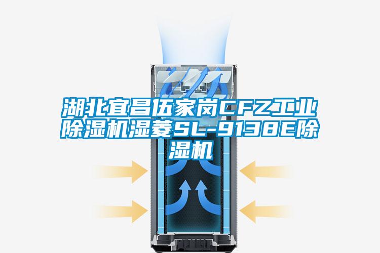 欧美成色手机在线观看 湖北宜昌伍家岗CFZ工业除湿机湿菱SL-9138E除湿机