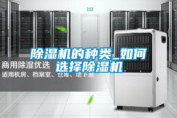 欧美成色手机在线观看 除湿机的种类_如何选择除湿机