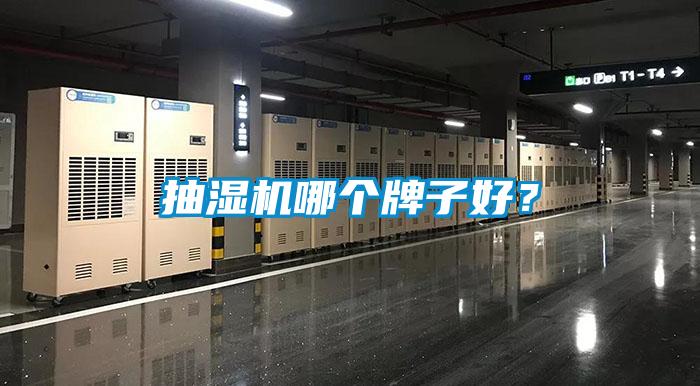 欧美黄色性爱视频网站 抽湿机哪个牌子好？