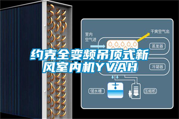 欧美黄色性爱视频网站 约克全变频吊顶式新风室内机YVAH