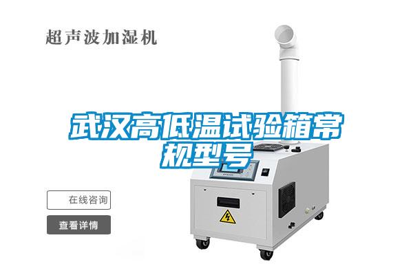 欧美黄色电影在线播放 武汉高低温试验箱常规型号