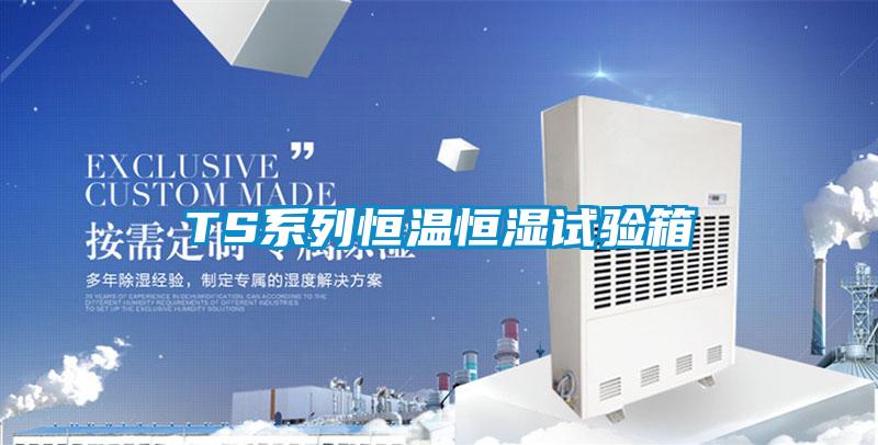 欧美成色手机在线观看 TS系列恒温恒湿试验箱