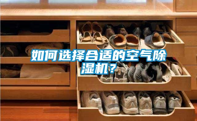 欧美黄色电影在线播放 如何选择合适的空气除湿机？