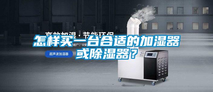 欧美成色手机在线观看 怎样买一台合适的加湿器或除湿器？