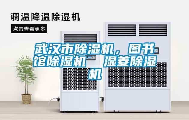 欧美成色手机在线观看 武汉市除湿机，图书馆除湿机  湿菱除湿机