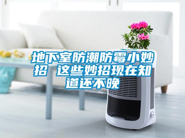 欧美黄色电影在线播放 地下室防潮防霉小妙招 这些妙招现在知道还不晚