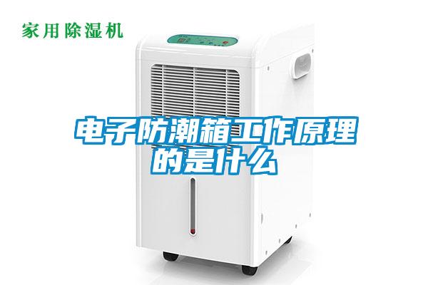 欧美黄色性爱视频网站 电子防潮箱工作原理的是什么