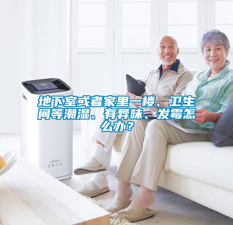 欧美成色手机在线观看 地下室或者家里一楼、卫生间等潮湿、有异味、发霉怎么办？