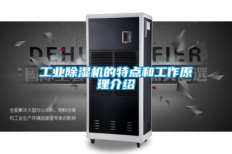 欧美黄色性爱视频网站 工业除湿机的特点和工作原理介绍