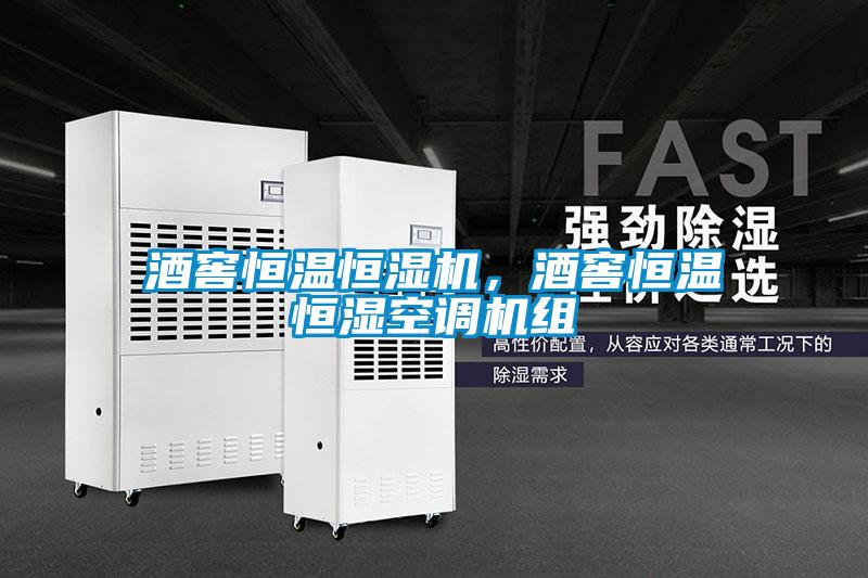 欧美黄色性爱视频网站 酒窖恒温恒湿机，酒窖恒温恒湿空调机组
